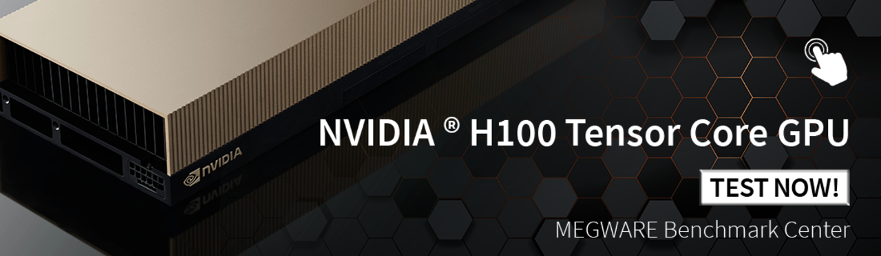 NVIDIA H100 Tensore Core GPU